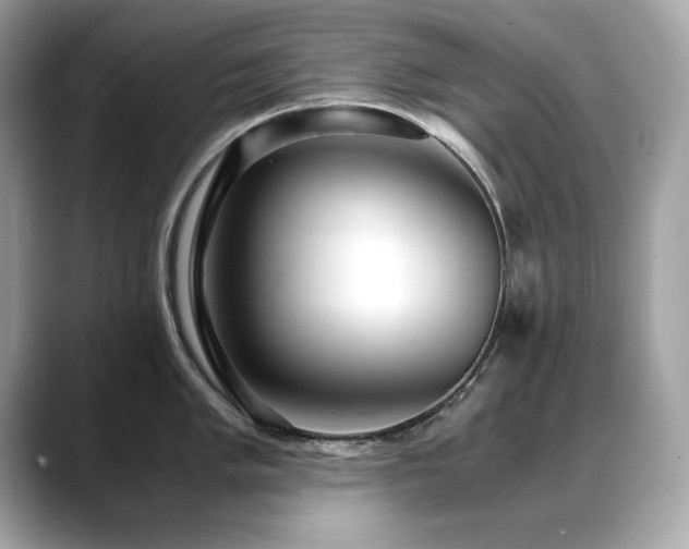 X0000088741005200705311444