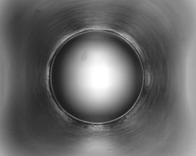 X0000088741006200705311444
