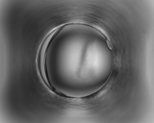 X0000088741007200705311444