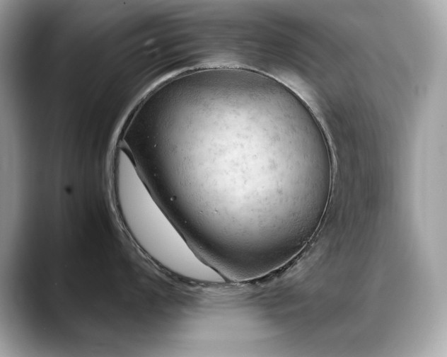 X0000088741008200705311444