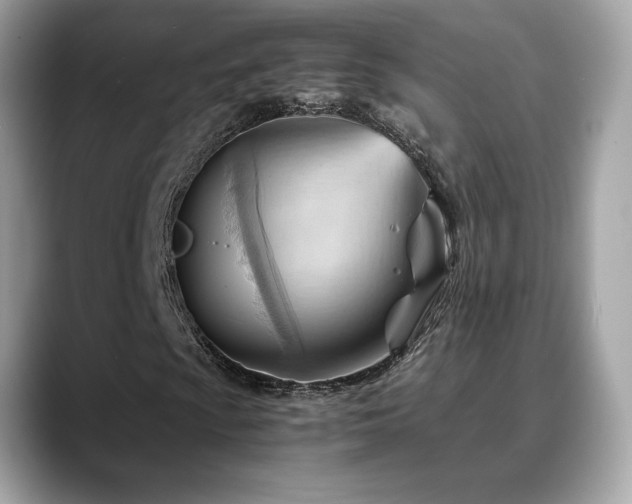 X0000088741009200705311443