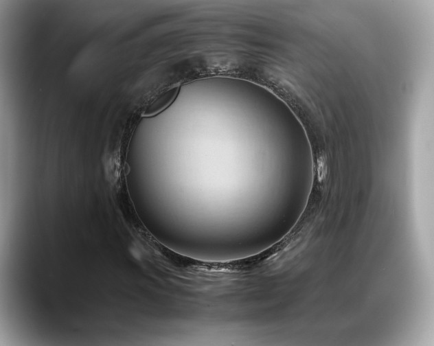 X0000088741011200705311443