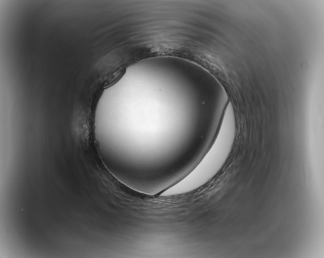 X0000088741012200705311443