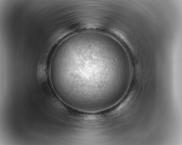 X0000088741018200705311443