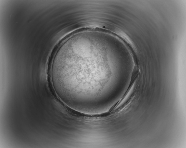 X0000088741020200705311443