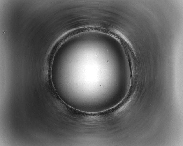 X0000088741021200705311443
