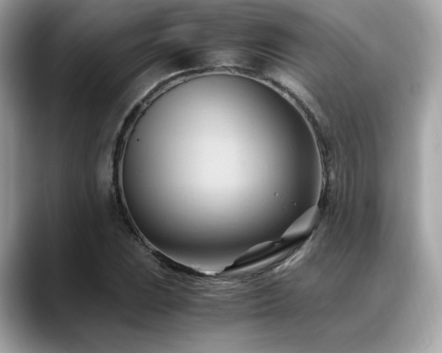 X0000088741023200705311443