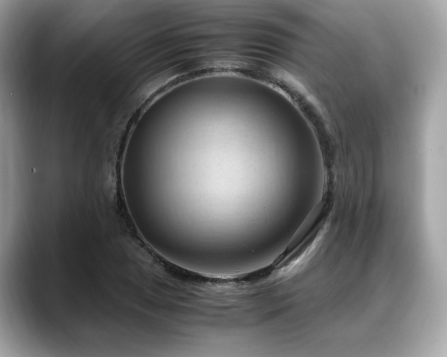 X0000088741025200705311443
