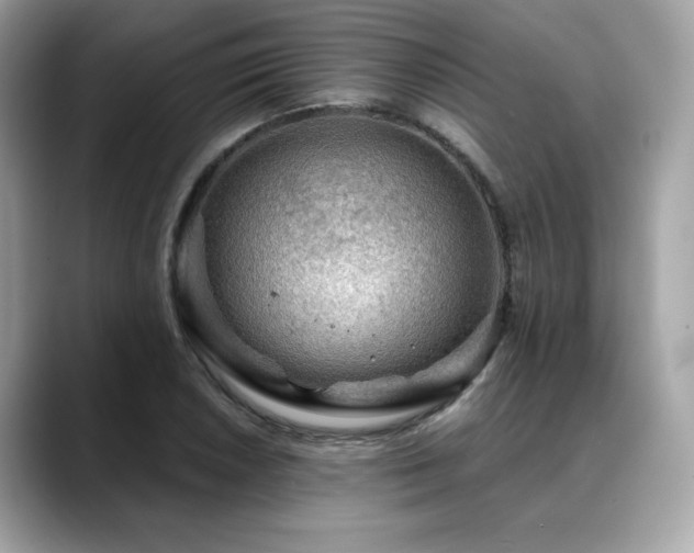 X0000088741026200705311443