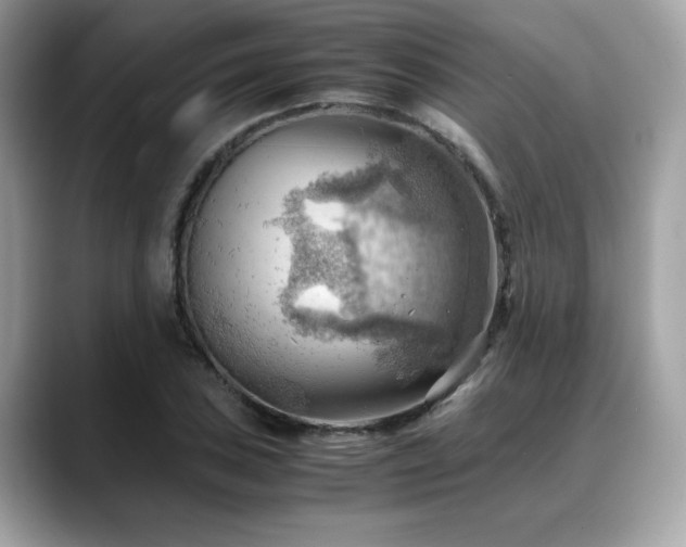 X0000088741027200705311443