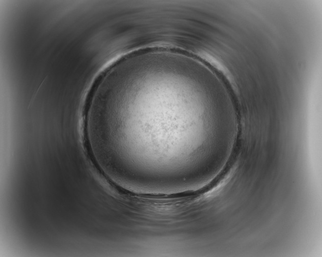 X0000088741029200705311443