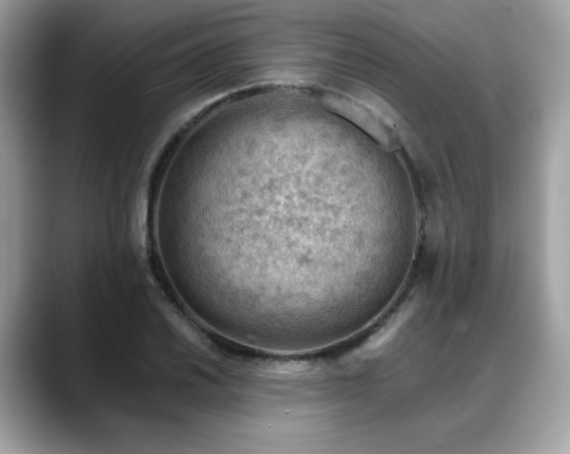 X0000088741030200705311443