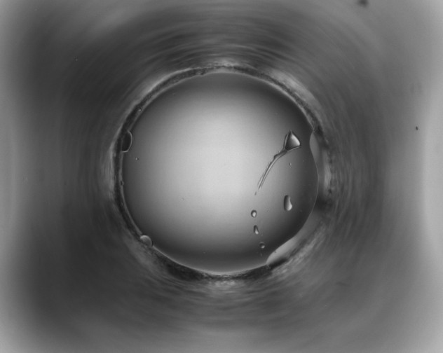 X0000088741031200705311443