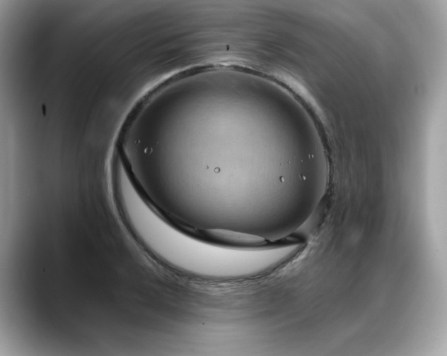 X0000088741032200705311443
