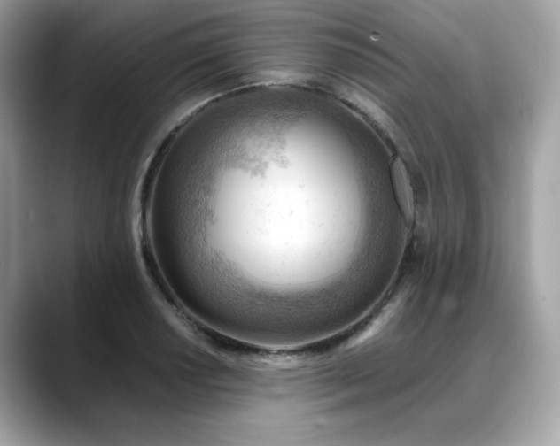 X0000088741034200705311444