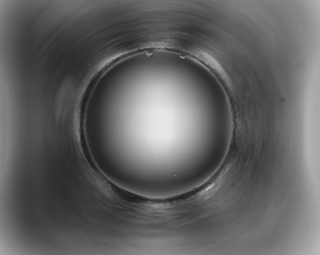 X0000088741035200705311444