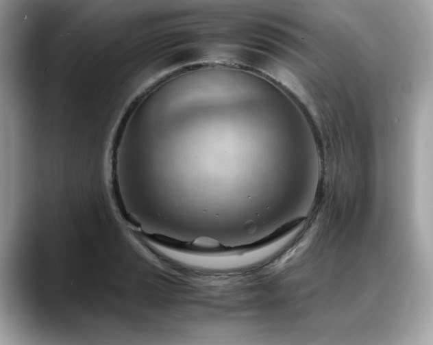 X0000088741037200705311444