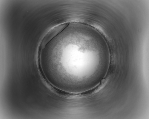 X0000088741038200705311444