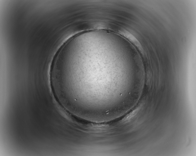 X0000088741039200705311444