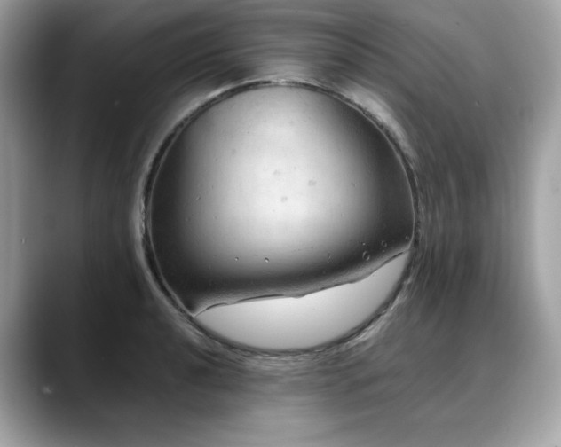 X0000088741040200705311444