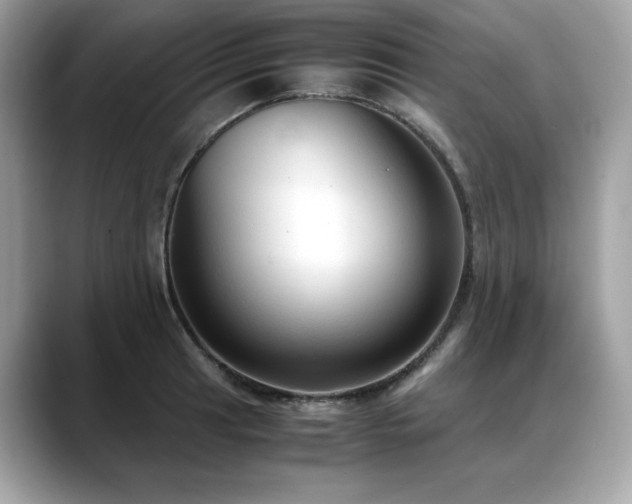 X0000088741041200705311444