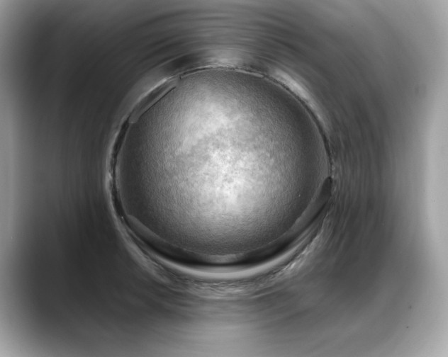 X0000088741042200705311444