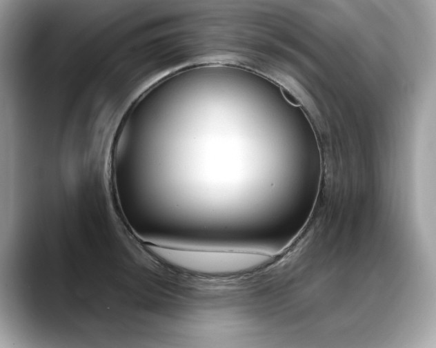 X0000088741044200705311444
