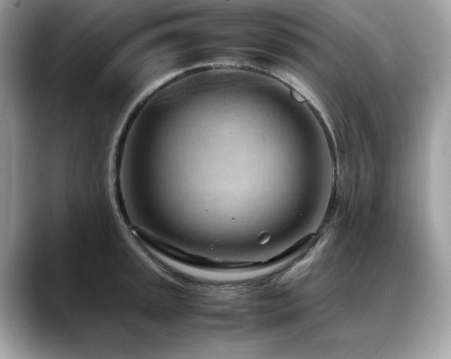 X0000088741045200705311444