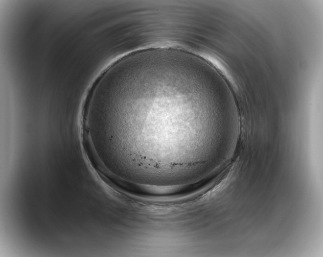 X0000088741046200705311444
