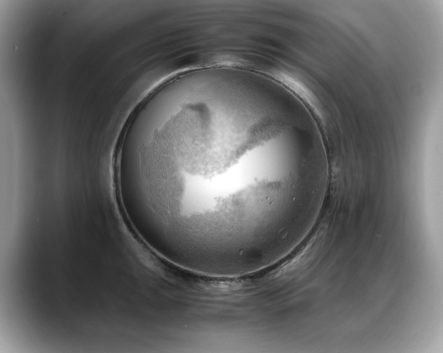 X0000088741047200705311444