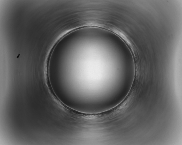 X0000088741048200705311444