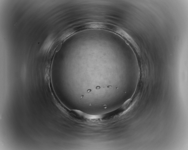 X0000088741049200705311444