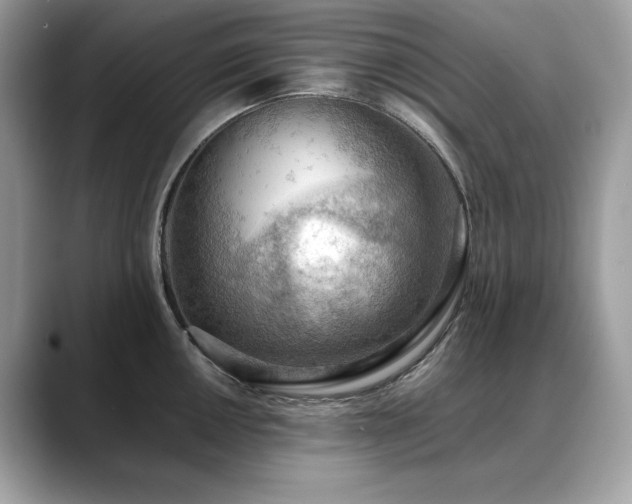X0000088741050200705311444