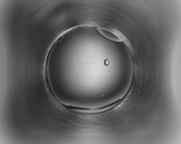 X0000088741052200705311444