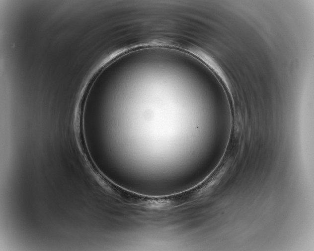 X0000088741053200705311444