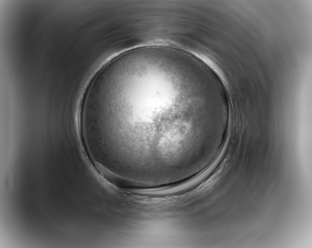 X0000088741054200705311444