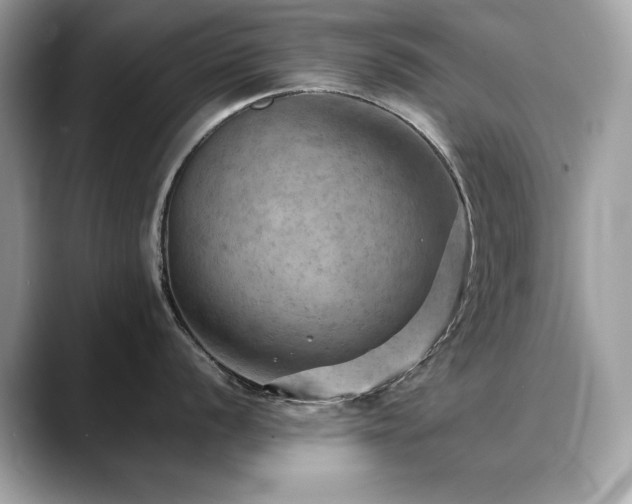 X0000088741056200705311444