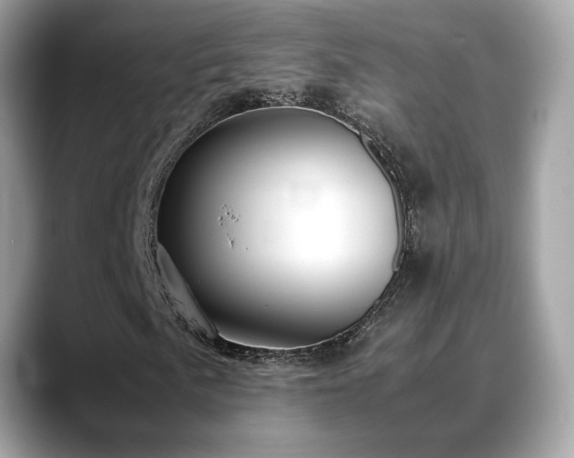 X0000088741057200705311443
