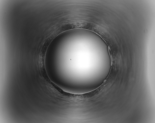 X0000088741058200705311443