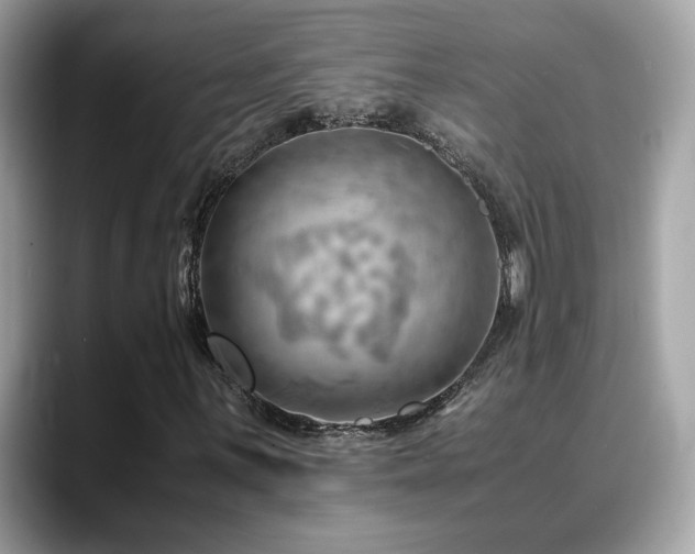X0000088741059200705311443