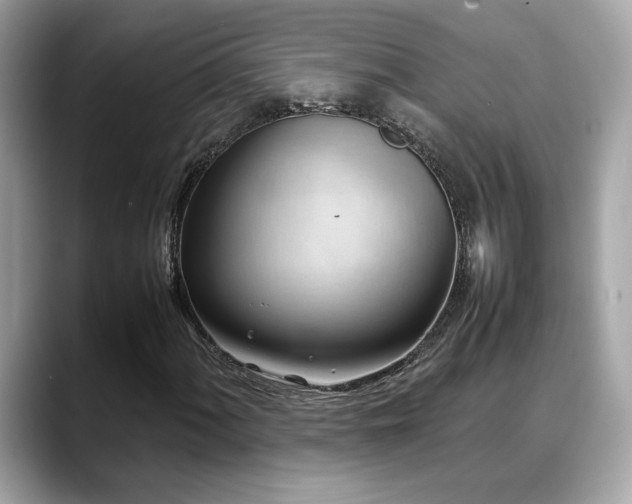 X0000088741060200705311443