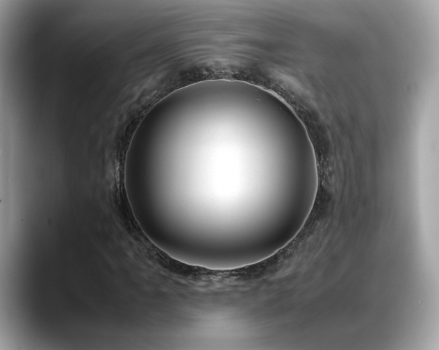 X0000088741061200705311443