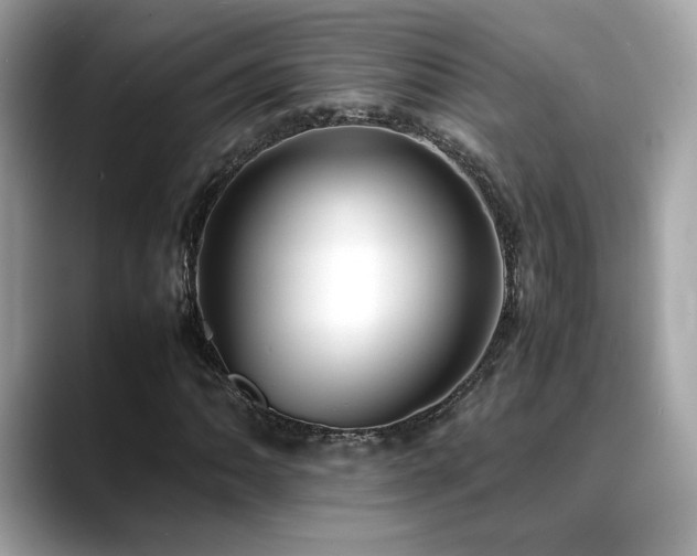 X0000088741062200705311443