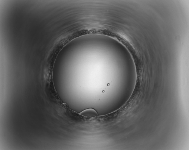 X0000088741063200705311443