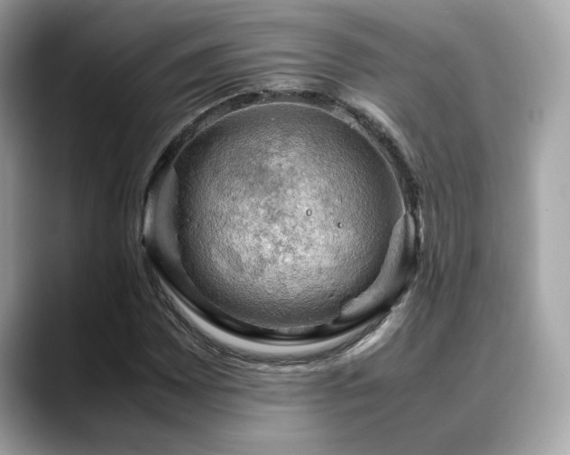 X0000088741065200705311443