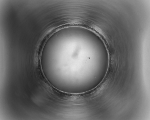 X0000088741067200705311443
