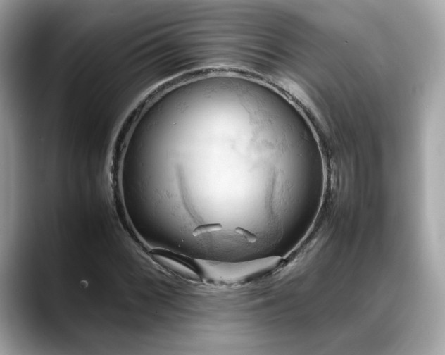 X0000088741068200705311443