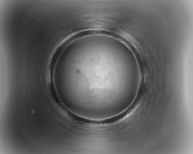 X0000088741069200705311443