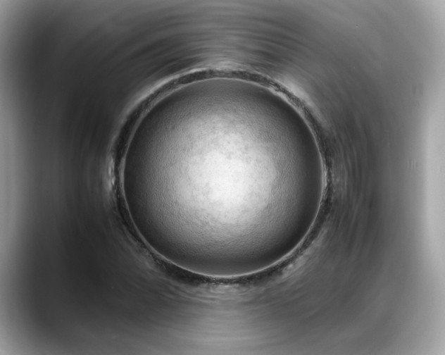 X0000088741070200705311443