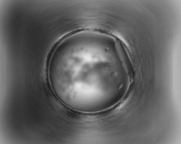 X0000088741071200705311443